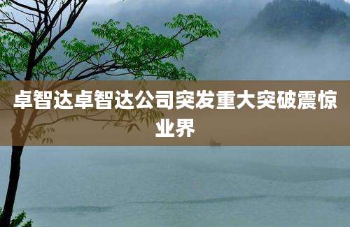 卓智达卓智达公司突发重大突破震惊业界