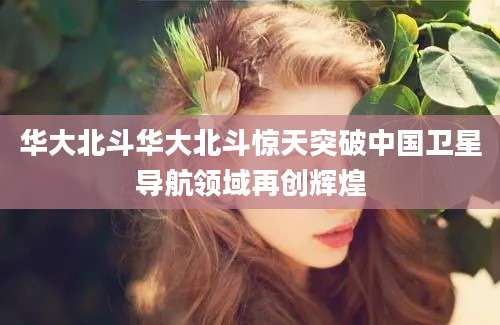 华大北斗华大北斗惊天突破中国卫星导航领域再创辉煌