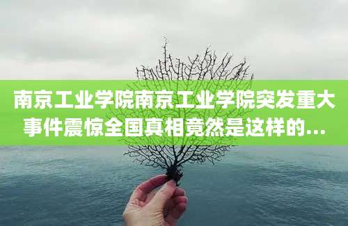 南京工业学院南京工业学院突发重大事件震惊全国真相竟然是这样的...