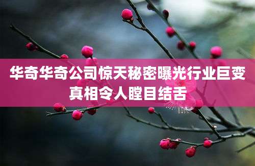 华奇华奇公司惊天秘密曝光行业巨变真相令人瞠目结舌