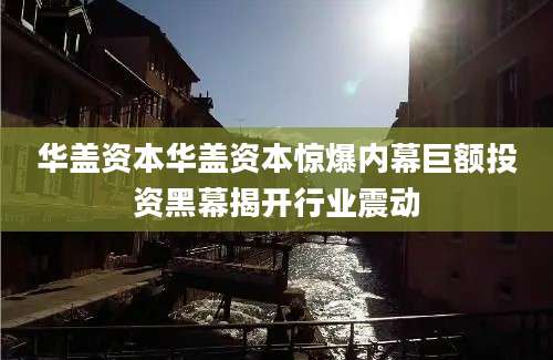 华盖资本华盖资本惊爆内幕巨额投资黑幕揭开行业震动