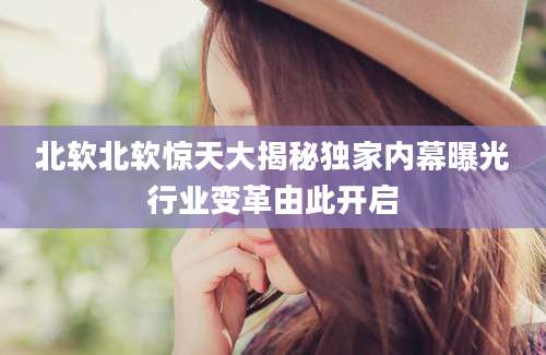北软北软惊天大揭秘独家内幕曝光行业变革由此开启