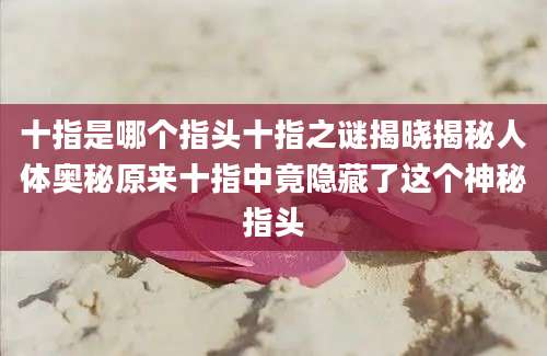 十指是哪个指头十指之谜揭晓揭秘人体奥秘原来十指中竟隐藏了这个神秘指头