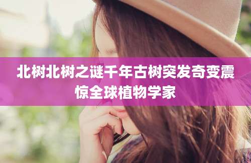 北树北树之谜千年古树突发奇变震惊全球植物学家