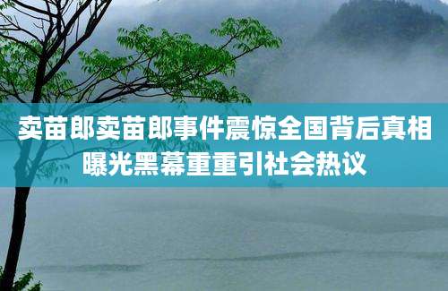 卖苗郎卖苗郎事件震惊全国背后真相曝光黑幕重重引社会热议