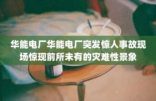 华能电厂华能电厂突发惊人事故现场惊现前所未有的灾难性景象