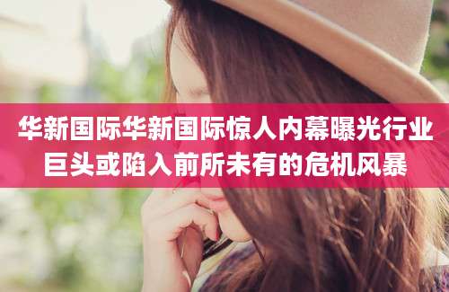 华新国际华新国际惊人内幕曝光行业巨头或陷入前所未有的危机风暴