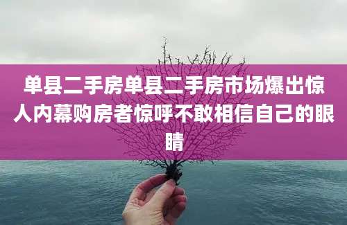 单县二手房单县二手房市场爆出惊人内幕购房者惊呼不敢相信自己的眼睛