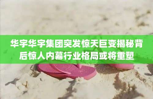 华宇华宇集团突发惊天巨变揭秘背后惊人内幕行业格局或将重塑