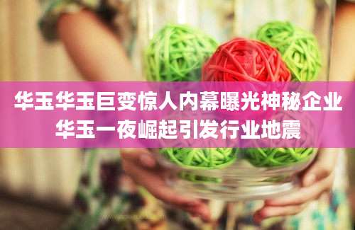 华玉华玉巨变惊人内幕曝光神秘企业华玉一夜崛起引发行业地震