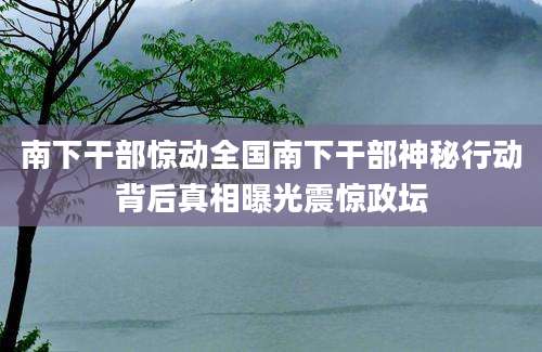 南下干部惊动全国南下干部神秘行动背后真相曝光震惊政坛