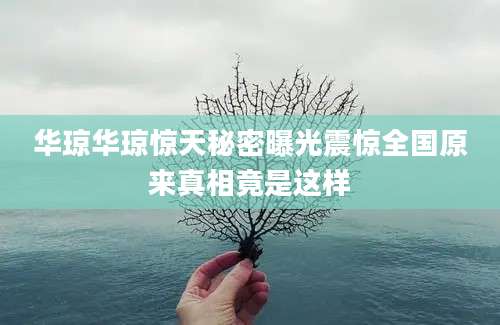 华琼华琼惊天秘密曝光震惊全国原来真相竟是这样