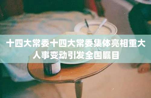 十四大常委十四大常委集体亮相重大人事变动引发全国瞩目