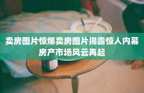 卖房图片惊爆卖房图片揭露惊人内幕房产市场风云再起