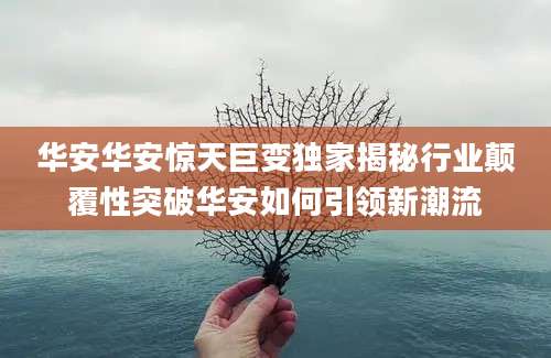 华安华安惊天巨变独家揭秘行业颠覆性突破华安如何引领新潮流