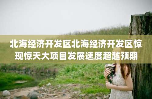北海经济开发区北海经济开发区惊现惊天大项目发展速度超越预期