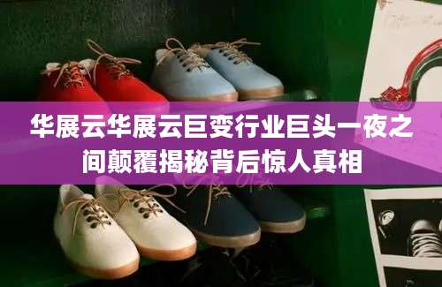 华展云华展云巨变行业巨头一夜之间颠覆揭秘背后惊人真相