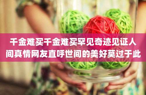千金难买千金难买罕见奇迹见证人间真情网友直呼世间的美好莫过于此