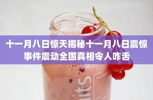 十一月八日惊天揭秘十一月八日震惊事件震动全国真相令人咋舌