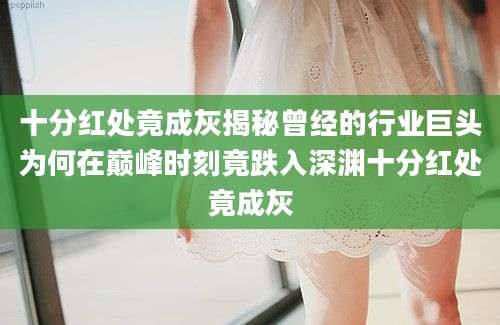 十分红处竟成灰揭秘曾经的行业巨头为何在巅峰时刻竟跌入深渊十分红处竟成灰