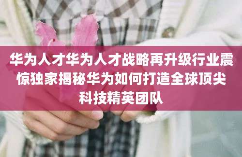 华为人才华为人才战略再升级行业震惊独家揭秘华为如何打造全球顶尖科技精英团队