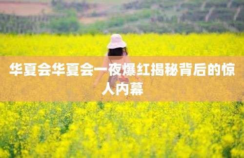 华夏会华夏会一夜爆红揭秘背后的惊人内幕