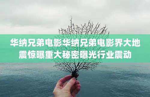 华纳兄弟电影华纳兄弟电影界大地震惊曝重大秘密曝光行业震动