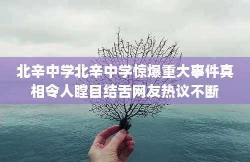 北辛中学北辛中学惊爆重大事件真相令人瞠目结舌网友热议不断