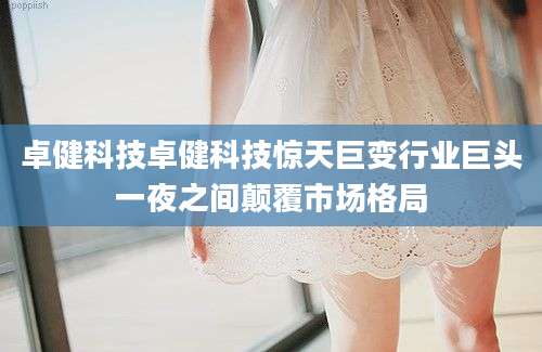 卓健科技卓健科技惊天巨变行业巨头一夜之间颠覆市场格局