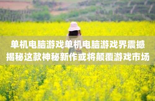 单机电脑游戏单机电脑游戏界震撼揭秘这款神秘新作或将颠覆游戏市场