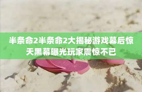 半条命2半条命2大揭秘游戏幕后惊天黑幕曝光玩家震惊不已
