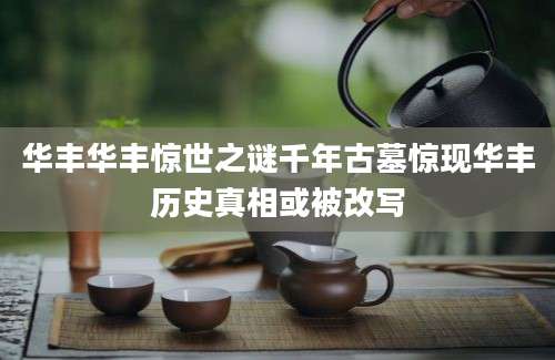 华丰华丰惊世之谜千年古墓惊现华丰历史真相或被改写