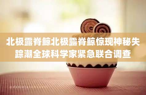北极露脊鲸北极露脊鲸惊现神秘失踪潮全球科学家紧急联合调查