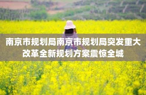 南京市规划局南京市规划局突发重大改革全新规划方案震惊全城