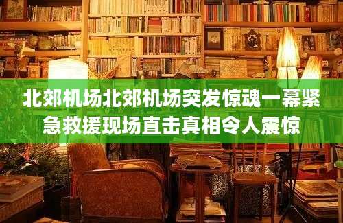 北郊机场北郊机场突发惊魂一幕紧急救援现场直击真相令人震惊