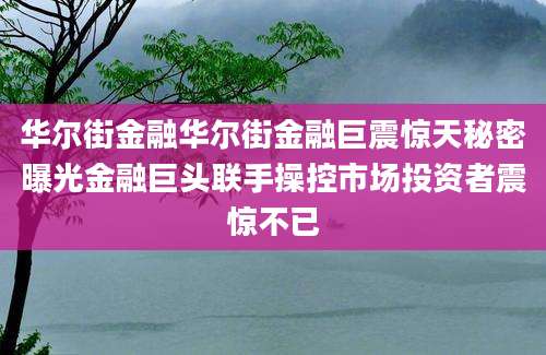 华尔街金融华尔街金融巨震惊天秘密曝光金融巨头联手操控市场投资者震惊不已