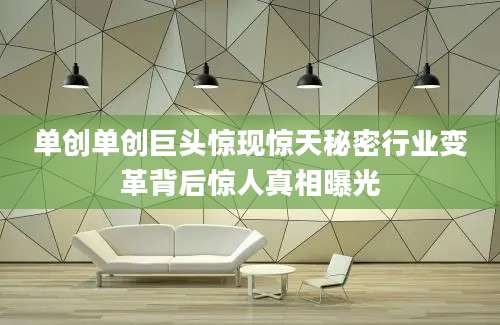 单创单创巨头惊现惊天秘密行业变革背后惊人真相曝光