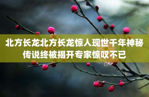 北方长龙北方长龙惊人现世千年神秘传说终被揭开专家惊叹不已