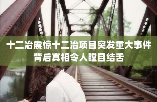 十二冶震惊十二冶项目突发重大事件背后真相令人瞠目结舌