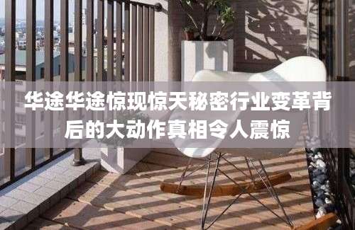 华途华途惊现惊天秘密行业变革背后的大动作真相令人震惊