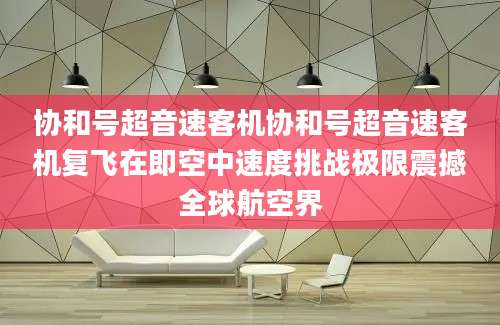 协和号超音速客机协和号超音速客机复飞在即空中速度挑战极限震撼全球航空界