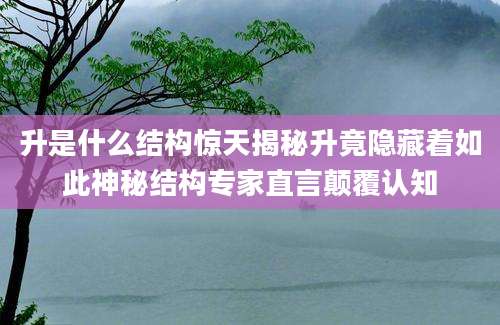 升是什么结构惊天揭秘升竟隐藏着如此神秘结构专家直言颠覆认知