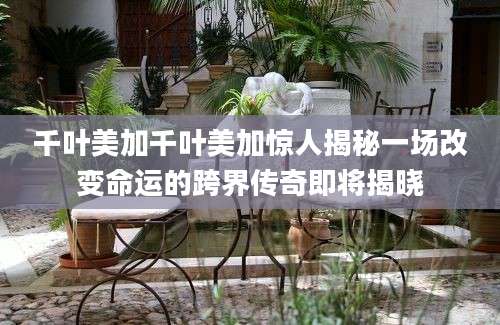 千叶美加千叶美加惊人揭秘一场改变命运的跨界传奇即将揭晓