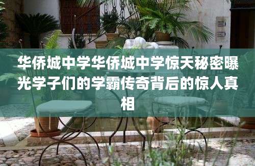 华侨城中学华侨城中学惊天秘密曝光学子们的学霸传奇背后的惊人真相