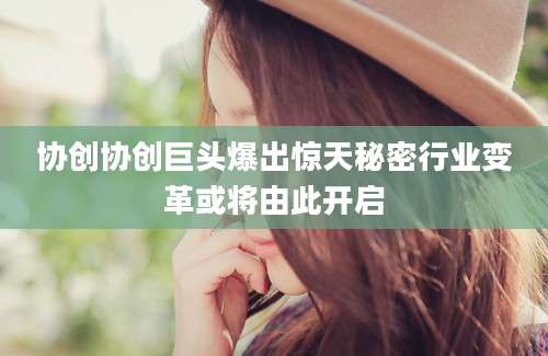 协创协创巨头爆出惊天秘密行业变革或将由此开启