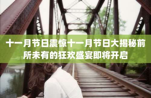 十一月节日震惊十一月节日大揭秘前所未有的狂欢盛宴即将开启