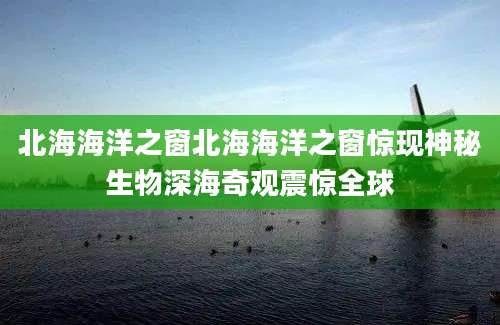 北海海洋之窗北海海洋之窗惊现神秘生物深海奇观震惊全球
