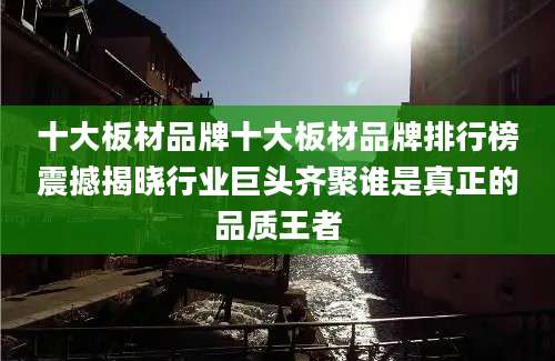 十大板材品牌十大板材品牌排行榜震撼揭晓行业巨头齐聚谁是真正的品质王者