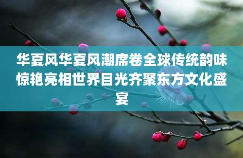 华夏风华夏风潮席卷全球传统韵味惊艳亮相世界目光齐聚东方文化盛宴