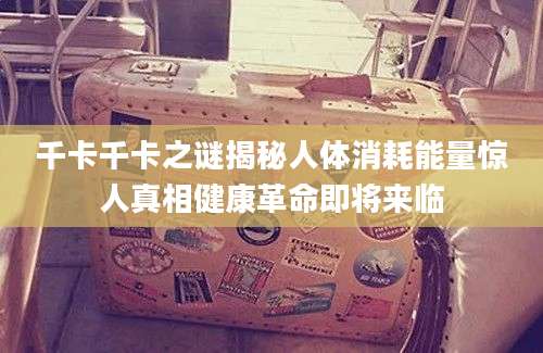 千卡千卡之谜揭秘人体消耗能量惊人真相健康革命即将来临